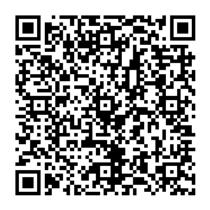 他的脸上 更是洋溢着一种不羁 那是绝对的自信与霸道 一指按出 昏暗的四周顿时爆发出轰隆一声二维码生成