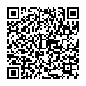 他的计划最后却竟然被精灵王子叶尔夏提和一群连不朽境界都不到的二维码生成