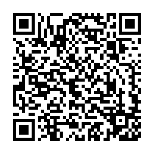他的话几乎完美地印证了罗伯特的猜想――语调也带上了试探的味道二维码生成