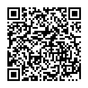 他的透视眼可以清楚地看到自己两条胳膊每一处偏离的骨骼错位的准确位置二维码生成
