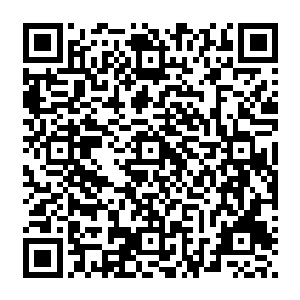 他的透视能力反而可以更加清晰和准确地把握住迎面飞来的每一发能量子弹的运行轨迹二维码生成