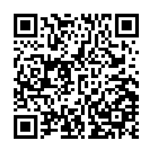 他目光淡淡的撩了低眉垂眼让到一侧的柳念夏和云珠一眼后二维码生成