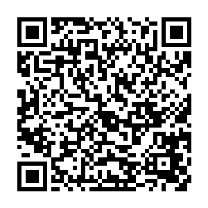 他相信杨老一定是想表达他对党的事业的忠诚和对广大人民群众的热爱之情二维码生成