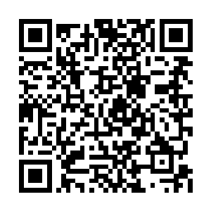 他相对脆弱的颈骨根本无法承受如此巨力的撞击二维码生成