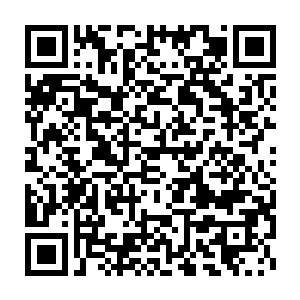 他相识张潇晗以来的一切在无法忍受的痛苦中却清晰地出现在识海内二维码生成