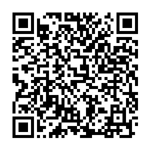 他看了一眼站在主子面前那面无表情的僵尸不由得感到了几丝害怕二维码生成