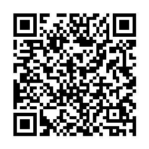 他看到今年的新生们排着整齐的队伍站在他们面前了二维码生成