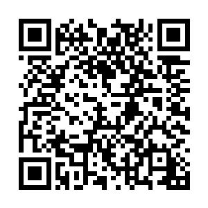 他看到代杰已经完全领悟了碎狼牙棒上面的绝学了二维码生成
