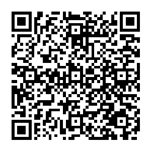 他看着前方 只有一百米 这在平时手到擒來的事 但现在却成了一道无法跨越的鸿沟二维码生成
