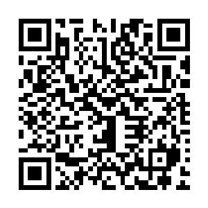 他看着叶尊他们两人的眼神之中当即便是浮现出一抹狰狞之色二维码生成