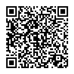 他看重的是杨晨如此年纪轻轻却修为可怕更掌握了八阶法器的大气运和无限前途二维码生成