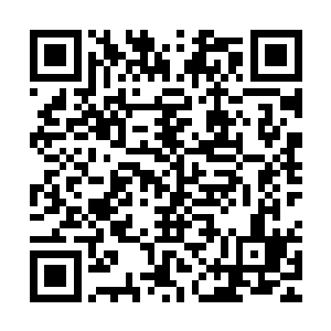 他真担心将铁血异形和禁卫异形让出去后医生会将它们彻底解剖二维码生成