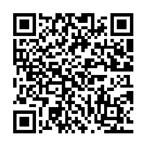 他眼眸里流动着淡淡的欣赏――以往总觉得女子柔弱娇艳才是美二维码生成
