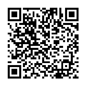 他知道如果他这样据实回答的话肯定不会取信于法庭二维码生成