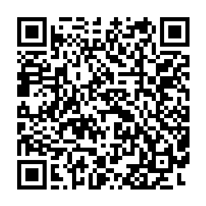 他知道爷爷现在最大的心愿恐怕就是再次见到夏大师并得到他的指点二维码生成