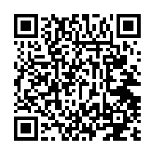 他知道这是林锐在隔壁通过敲击地面的方式在向他传递信号二维码生成