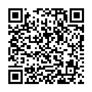 他知道骨皇在经过那次沉睡之中实力已经提升了不少二维码生成