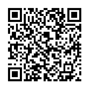 他立即用敌对审视的目光把凌云上上下下看了个仔细二维码生成