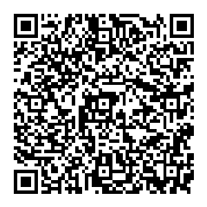 他站了起來　原本的恐慌之色一扫而光　剩下的全是浓浓的坚韧　既然不在迷茫　既然坚定了目标　那注定要一直向前二维码生成