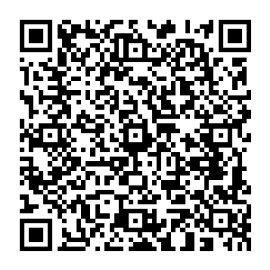 他站在无尽星空当中 看着四方开始坍塌的黑暗 以及血流成河 横尸百万的场景 仰天咆哮二维码生成