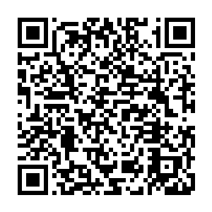 他竟然还敢这么说话……为什么这么一群白痴却是硬生生控制了冷家的大权二维码生成