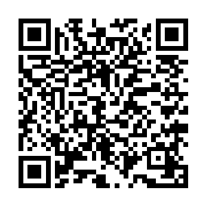 他第一次用胳膊甩开了那个被他如珠似宝般对待的姑娘二维码生成