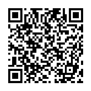 他简直没法想象如果凌菲受伤或者死去自己会变成什么样二维码生成
