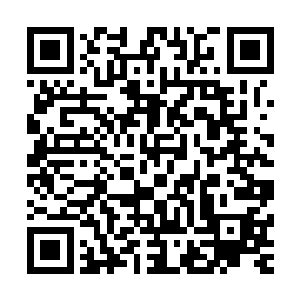 他终于体会到那些死在他拳下的敌人曾经面临的恐惧和不安了二维码生成