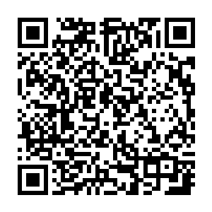 他终于是赶在最关键的时刻打开了机甲上所携带的最有威慑力的终极武器二维码生成