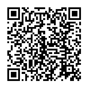 他绝对不允许在我的世界和植物大战僵尸等游戏出售变现前出任何岔子二维码生成