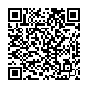 他续娶的丫鬟老婆和小厮大舅子三番五次想置你家人于死地二维码生成