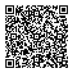 他缓缓的抬起手 就在这一刻 一阵柔和的风出來 摩挲之间 将石头上的灰尘都统统吹散了二维码生成