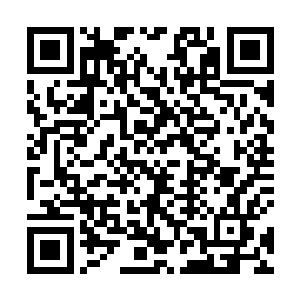 他肉身在渡劫之前便已经达到了寻常出窍圆满修士程度二维码生成