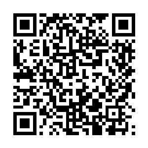 他肯定不会提前去劝说猴子和短嘴让他们跟我们一起走二维码生成