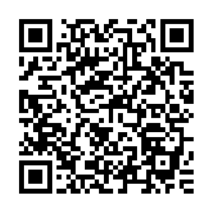 他背后的大屏幕便正好切换到岑自然一口咬下一坨便便的一幕二维码生成