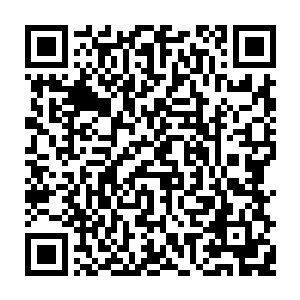 他能像现在一样堂堂正正的跟大家一起生活全都是因为睿大叔和凌菲帮忙的缘故二维码生成