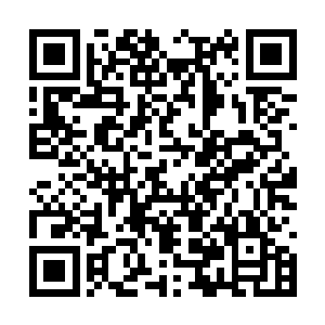 他能够借用完全血液维持着怀柔的生命力克制毒素二维码生成