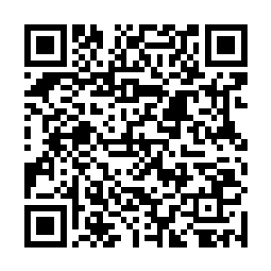 他自信经过配合的大离国五人一定会是最强的夺宝队伍二维码生成