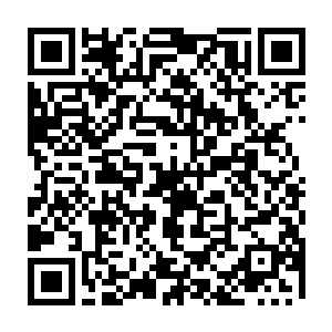 他自己也曾在坐上教主之位的很长一段时间里觉得这个世界真的是太无聊了二维码生成