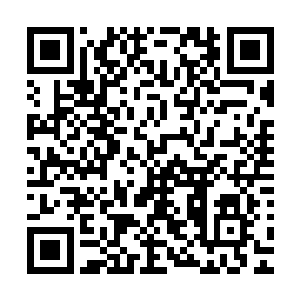 他自然不会傻到带领一帮文臣士大夫和坐拥强兵的萧言硬碰硬二维码生成