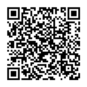 他自然不可能真的和他们说出来什么中学学习和大学学习的不同之类的了二维码生成