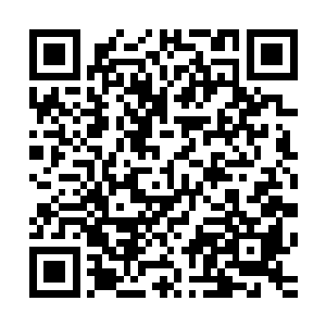 他虎臣哥就算是再没有节操也不会主动的去触碰这样的雷区啊二维码生成