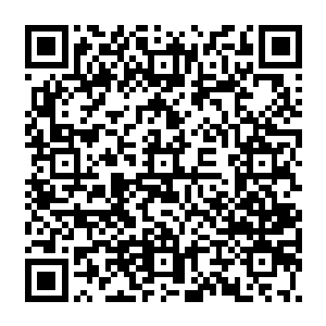 他要以最血腥的手段告诉那些敢于对海马一族的族人进行奴役的海族们彻底的害怕二维码生成
