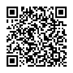 他要是再这么乱说话……说不定会再次被拔了毛儿丢回海里去的二维码生成