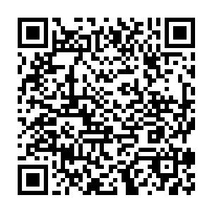 他觉得不好看的就说非常好看――张仪伊总算是买到了几件能穿的衣服二维码生成