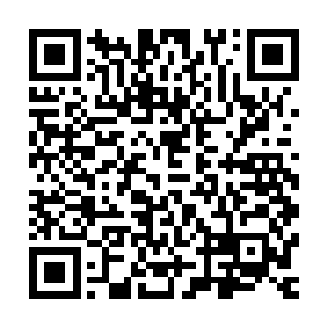 他觉得此时在他怀里承欢的蔡姬不过是个送菜的小商贩的妹妹二维码生成