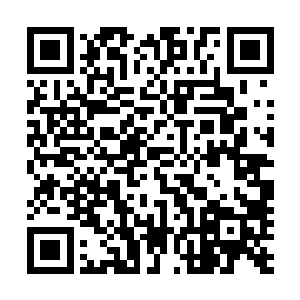 他觉得的确是因为苏茜怡没有及时救他才会让他变成这样的二维码生成