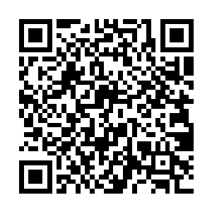 他认为巨人族和太虚宗只是暂时没有为难雨族的想法二维码生成