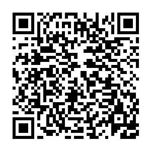 他记得小路后方的林子里是他小时候常常与伙伴们一切玩耍的小溪二维码生成