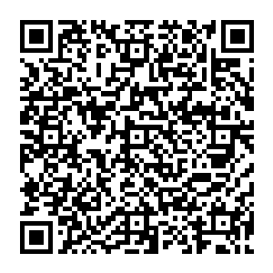 他试探着伸出左手 接着一拳轰击而出 就这般平静的轰击在虚空中 却是传來一声闷雷的响声二维码生成